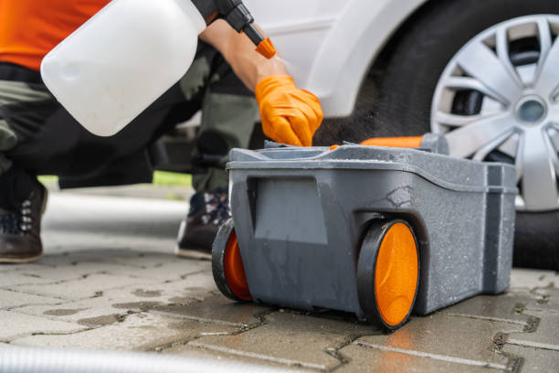 Best Lawn Grading and Leveling  in Rocky Top, TN